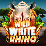 Wild White Rhino